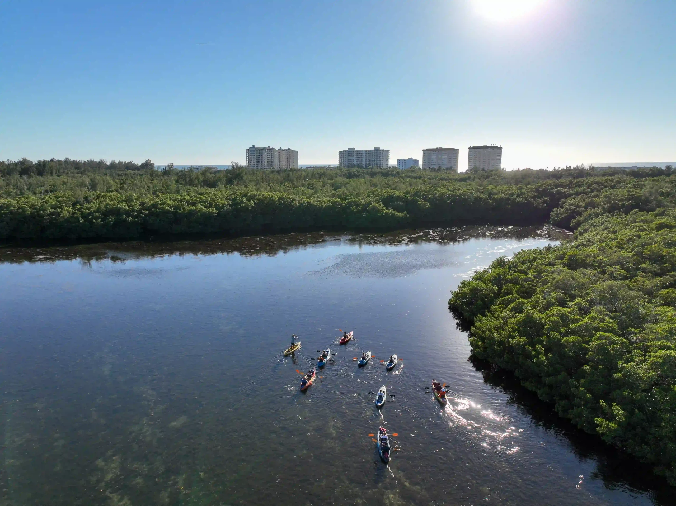 Aerial view of kayakers paddling through the Sarasota mangrove channels