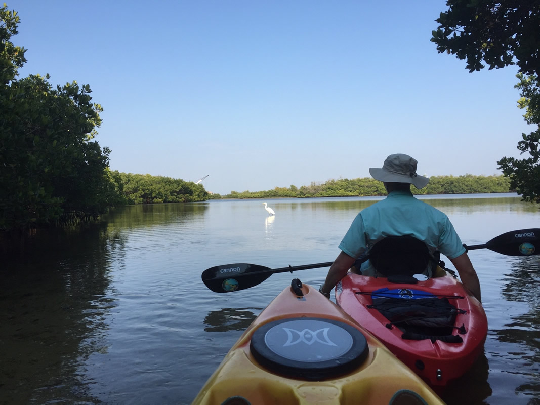 Kayak Tour Sarasota