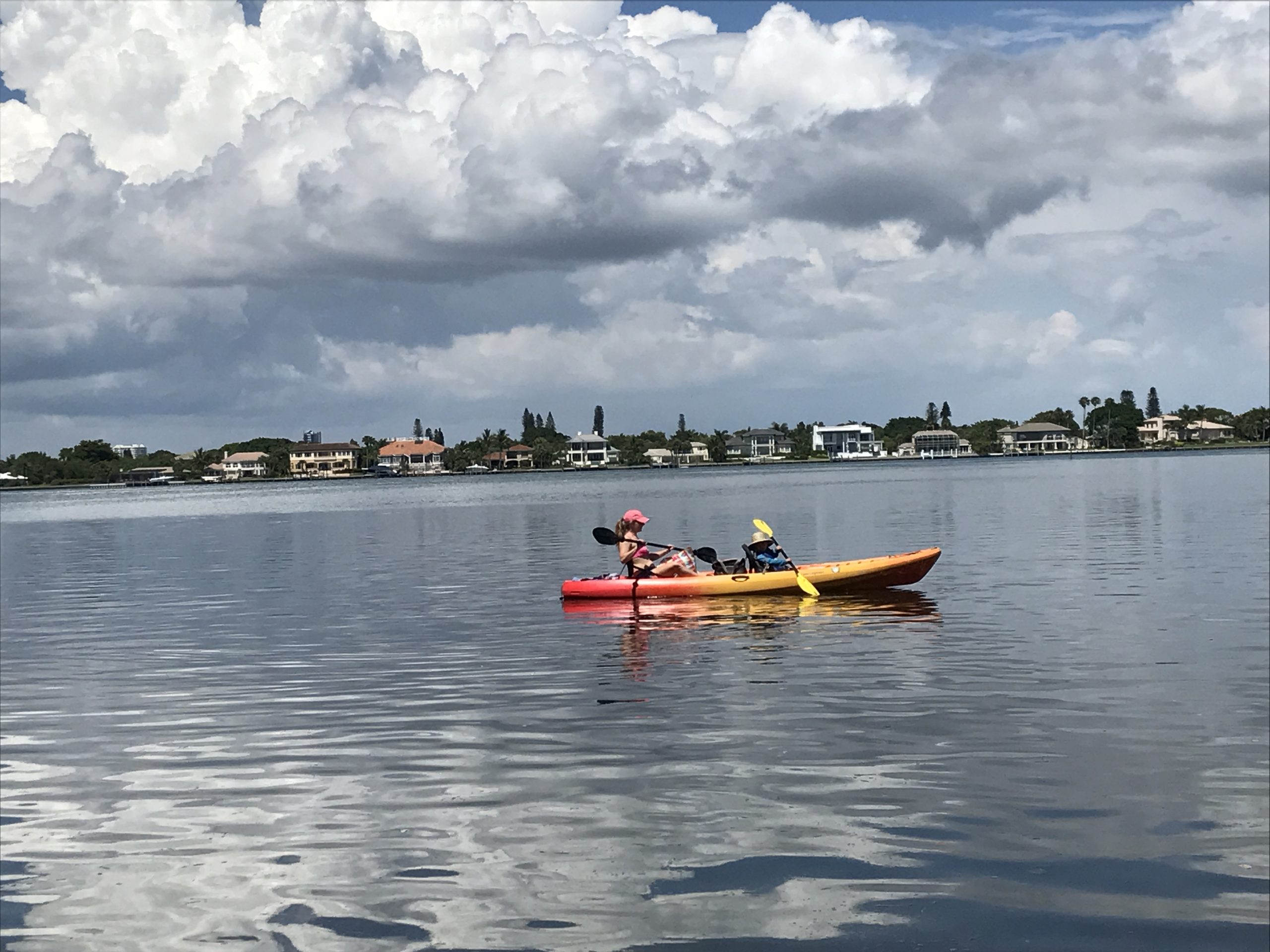 Sarasota Kayak Tour