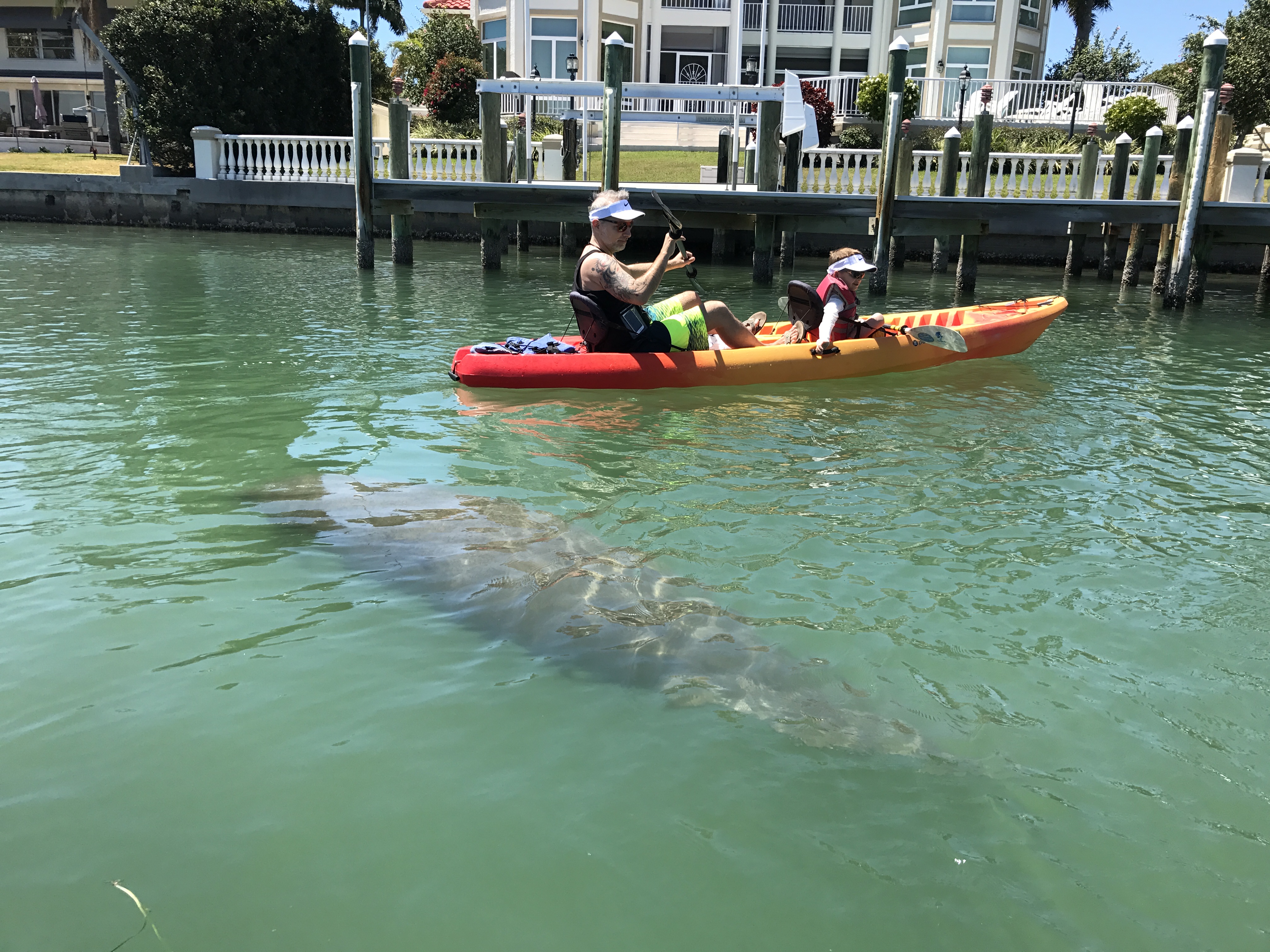 Kayak Tour In Sarasota