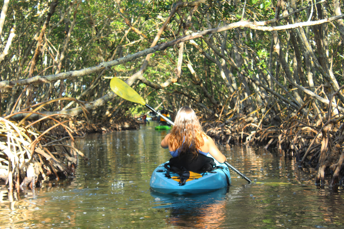 Sarasota Kayak Rental