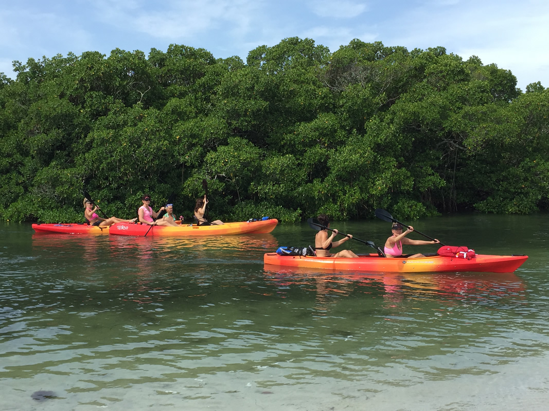 Kayak Tours - Paddling Paradise