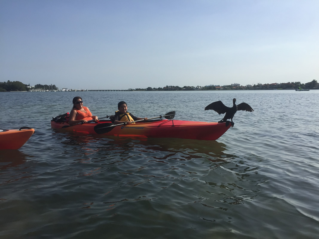 Sarasota Kayak Rental