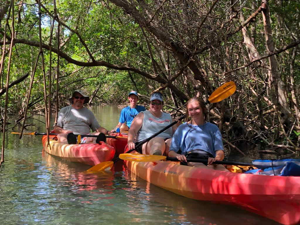 A group paddling tandem kayaks on a calm family tour inside the shaded Lido Key mangrove forest.