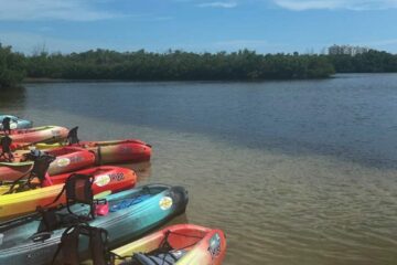 Colorful rental kayaks lined up along the shore at Ted Sperling Park in Lido Key Sarasota.