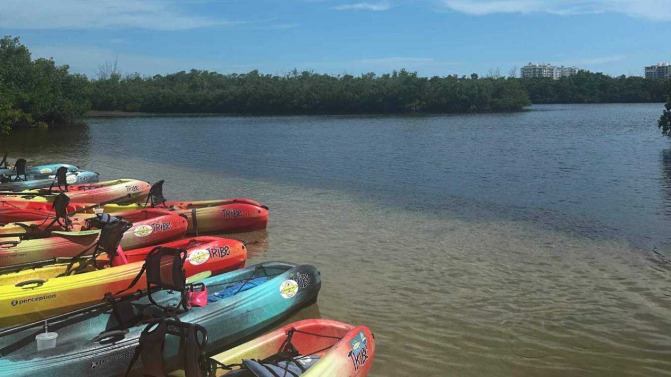 Colorful rental kayaks lined up along the shore at Ted Sperling Park in Lido Key Sarasota.