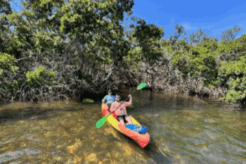 Two paddlers enjoying a tandem kayak trip near the clear waters of Sarasota mangrove tunnels.
