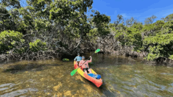 Two paddlers enjoying a tandem kayak trip near the clear waters of Sarasota mangrove tunnels.