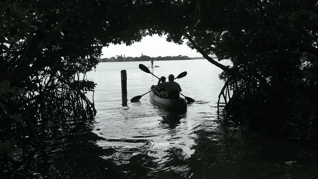 What to bring on a kayak tour